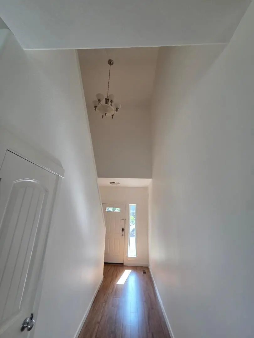 walls and ceiling painting